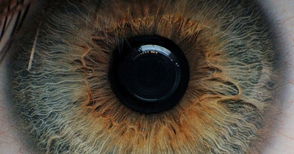 Voilà ce que la couleur de vos yeux révèle sur votre caractère... Impressionnant !