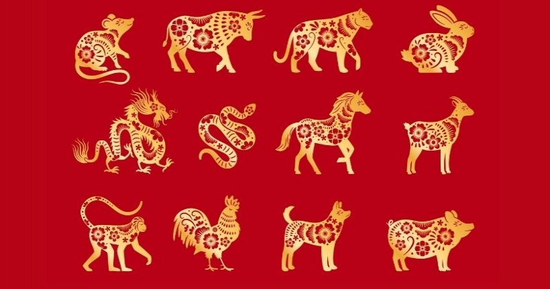 Horoscope chinois : quel est votre signe chinois ? 