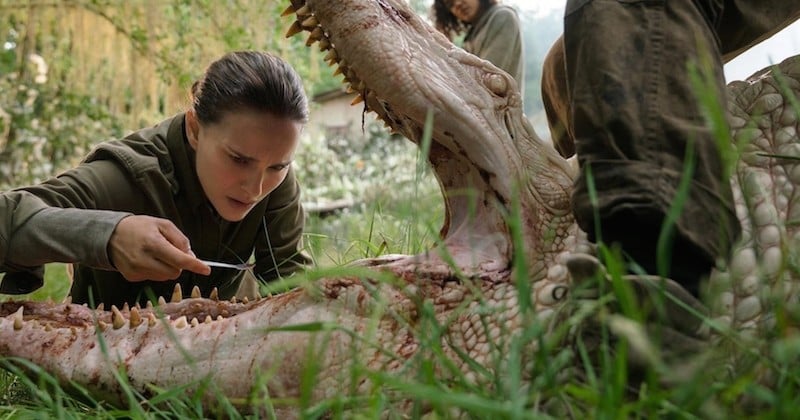 Natalie Portman en pleine angoisse dans la bande-annonce du thriller SF « Annihilation »