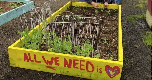 Des Sans-Abris ont planté un énorme jardin collectif, qui leur permet de se nourrir ainsi que tout le refuge pour personnes sans domicile... Génial, tout simplement !