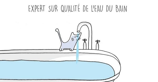 Les 17 métiers d'un chat, en 17 illustrations drôles : c'est tellement vrai !