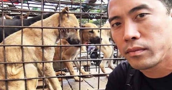 Il a sauvé plus de 1000 chiens d'une mort atroce en Chine ! Son incroyable histoire...
