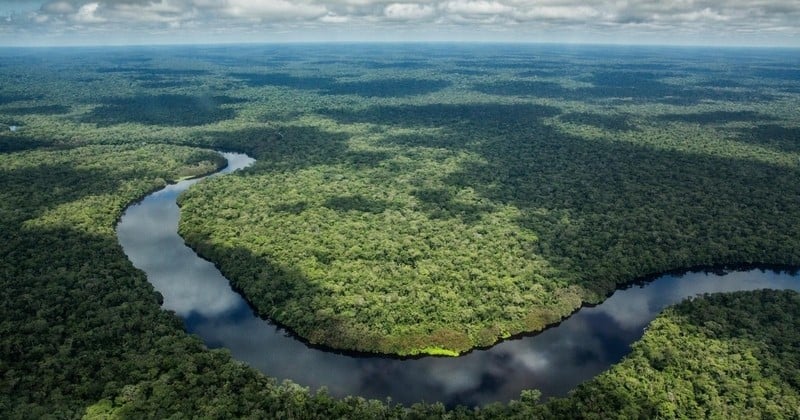 À partir de ce samedi 5 mai, la France sera en dépassement écologique, d'après la WWF