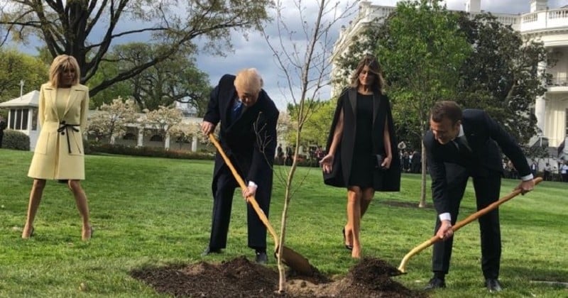 Les internautes détournent avec humour la photo de Macron et Trump plantant un arbre dans le jardin de la Maison Blanche