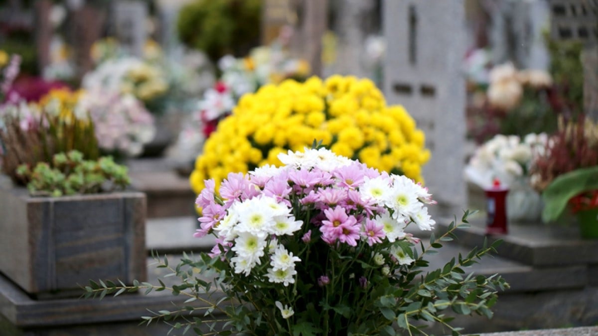 Cette Bretonne au grand coeur récupère ses bouquets invendus pour fleurir les tombes des cimetières