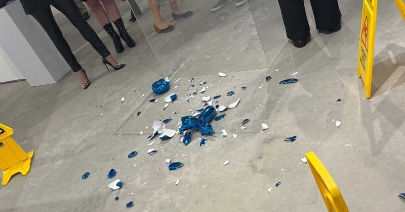 Une oeuvre d'art de Jeff Koons, estimée à 40 000 euros, s'est brisée en mille morceaux à cause d'une femme maladroite