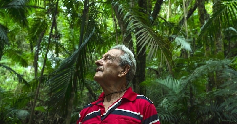 En 40 ans, ce Brésilien a reboisé 31 hectares de la forêt tropicale en replantant 50 000 graines