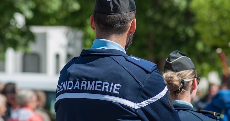 Ivre, il fait un « chat-bite » à un gendarme, la justice le condamne à 6 mois de prison	