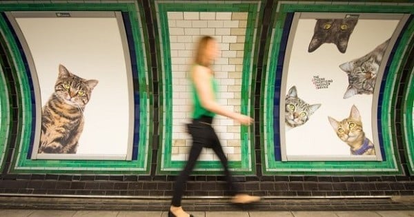 Contre ce qu'ils appellent la « pollution publicitaire dans le métro », ce collectif a remplacé toutes les pubs d'une station de métro... par des chats ! Et les photos sont géniales