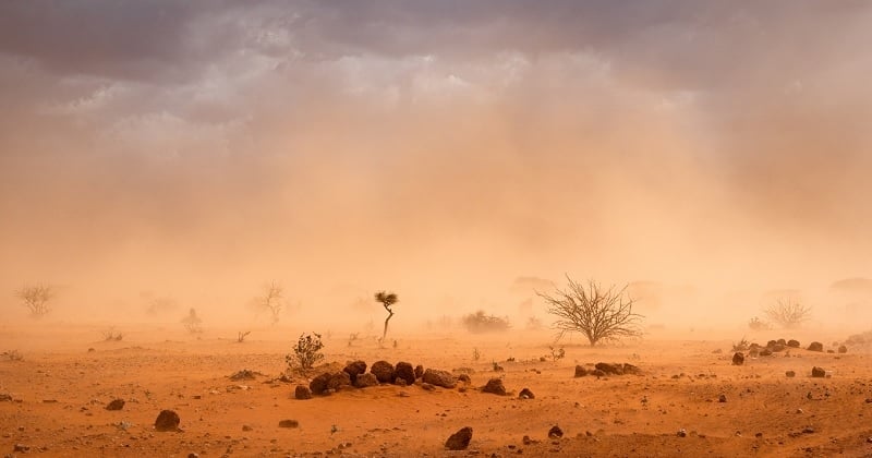 L'humanité va « bientôt » s'éteindre, selon la prédiction inquiétante d'un scientifique