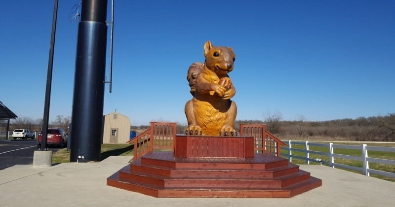 Au Texas, on peut admirer la plus grande statue d'écureuil du monde ! 