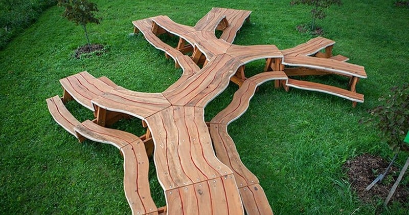 Cette immense table de pique-nique a la forme d'un grand arbre