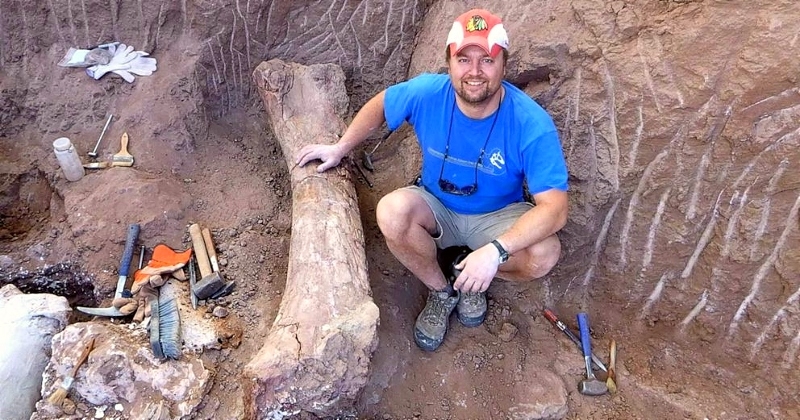 Un nouvelle espèce de dinosaure carnivore géant vient d’être découverte en Argentine