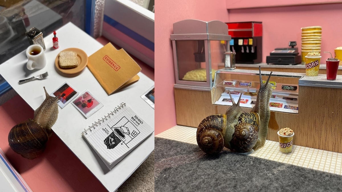 Un duo d'artistes met en scène la vie des escargots dans des décors miniatures adorables