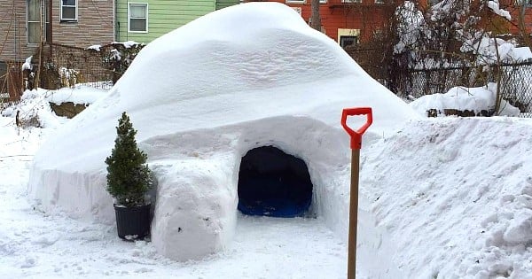 Le génie du jour : il construit un igloo à New York et le propose à la location sur Airbnb ! 