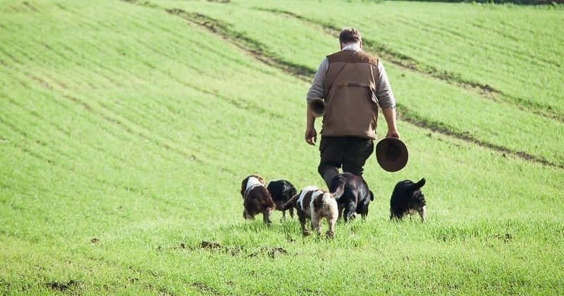 Le gouvernement planche sur une réforme amenée à diminuer le prix du permis de chasse 