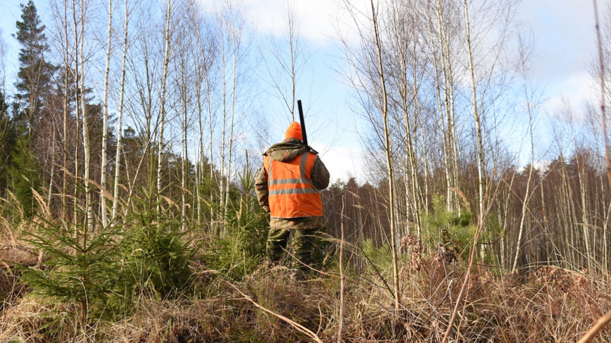 Un chasseur retrouvé mort dans son bois, il aurait été tué par des braconniers 