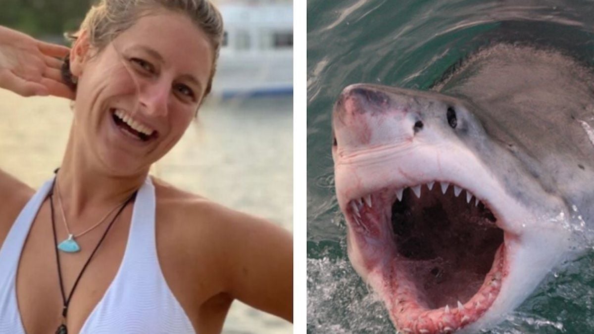« Je perdais beaucoup de sang » : attaquée par un requin, elle raconte le moment terrifiant où elle a cru qu'elle allait mourir