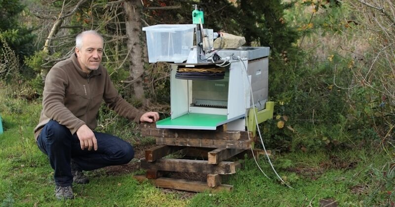 Un ingénieur de l'Aude invente un piège qui pourrait enfin préserver les ruches face au frelon asiatique	