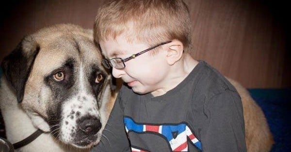 Ce chien et ce petit garçon ont vécu des souffrances inimaginables... Mais lorsqu'ils se sont rencontrés, ils ont su se réconforter mutuellement, et devenir les meilleurs amis du monde ! Magnifique...
