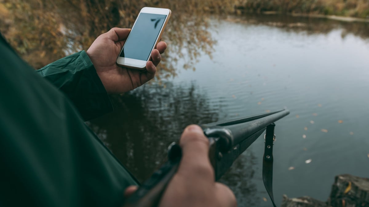 Un chasseur gagne un million d'euros alors qu'il chasse le cerf en jouant sur son téléphone