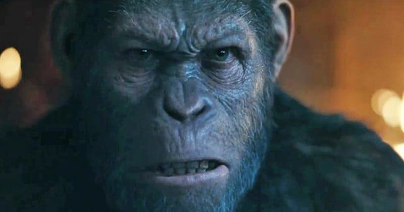 Découvrez la dernière bande-annonce intense de « La Planète des Singes - Suprématie » !