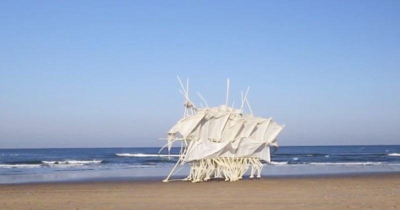 Cet homme est « sculpteur du vent » et ses oeuvres d'art prennent vie telles des créatures fantastiques