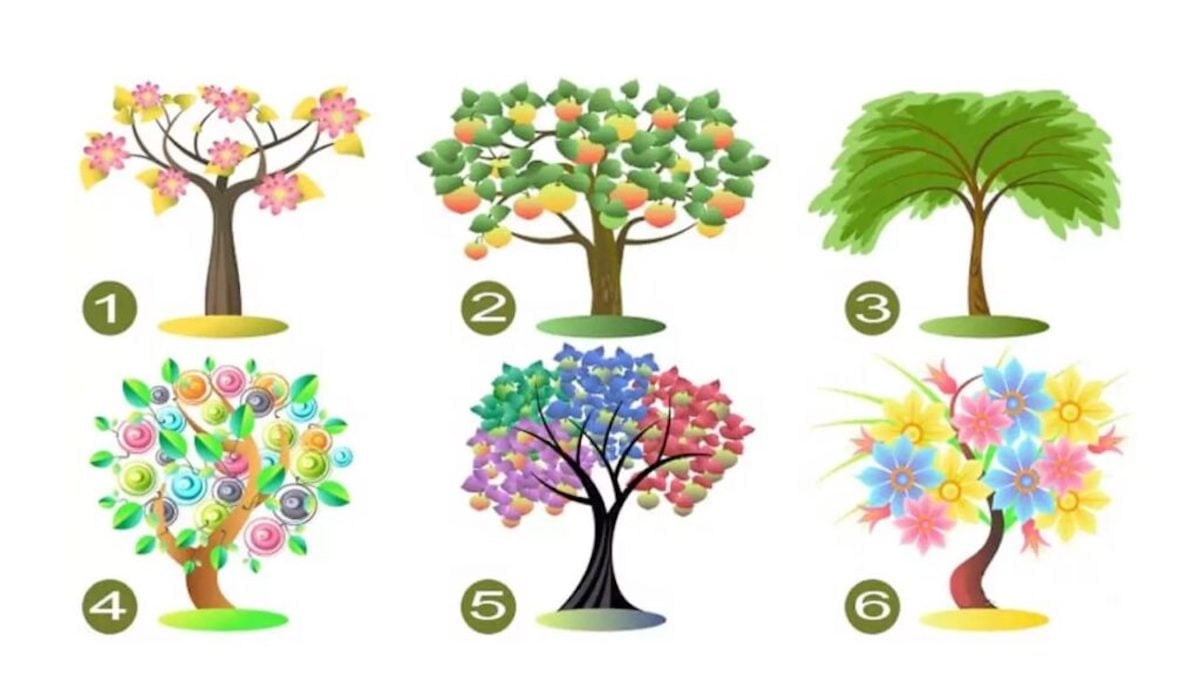 Test de psychologie : l'arbre que vous choisirez révélera votre personnalité
