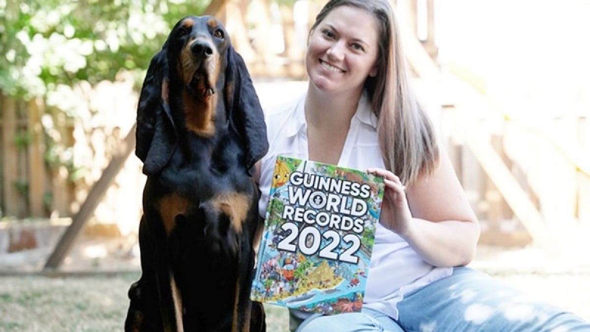 Cette chienne a les plus longues oreilles du monde et figure désormais dans le Livre Guinness des records