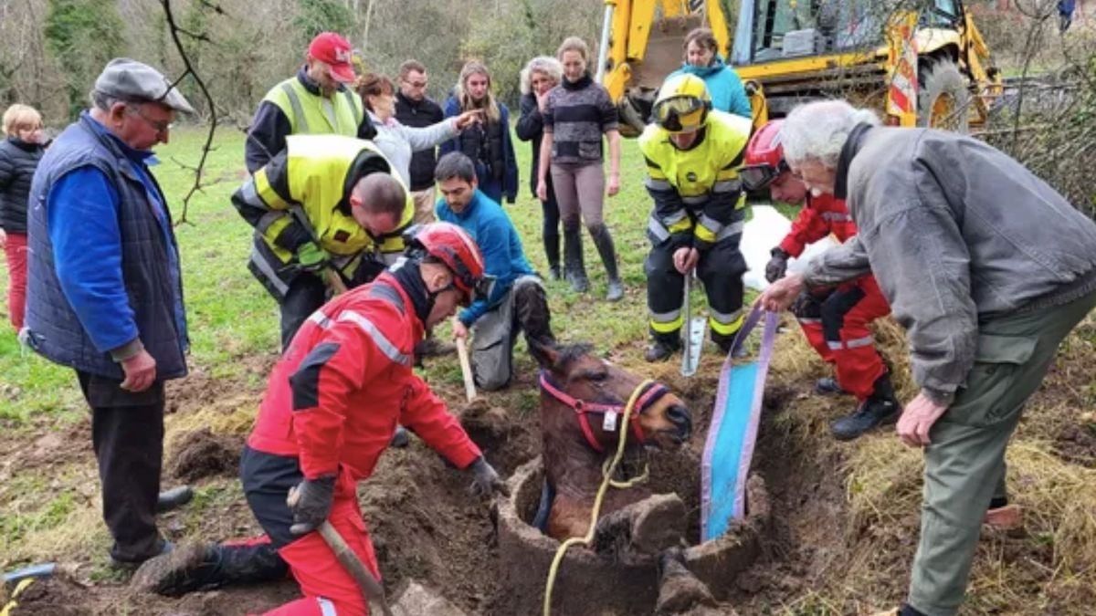 TÊTU  Pompiers Sans Frontières : un calendrier 2017 incendiaire