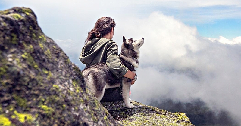 Les membres de la génération Y aiment plus leurs animaux de compagnie que leurs frères et sœurs, selon une étude