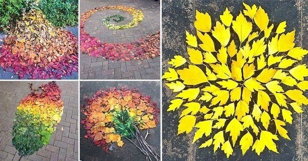 Dans la rue, les Japonais recyclent les feuilles mortes pour en faire des oeuvres d'art