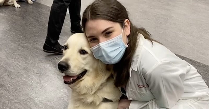 Dans cet hôpital, un chien remonte le moral des soignants stressés par la crise sanitaire