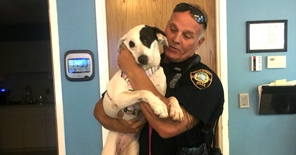 Ce chien a été arrêté par la police aux États-Unis ! Son crime est odieux !