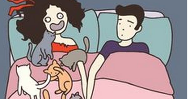 13 choses que vous devez impérativement savoir avant de sortir avec une « fille à chat ».