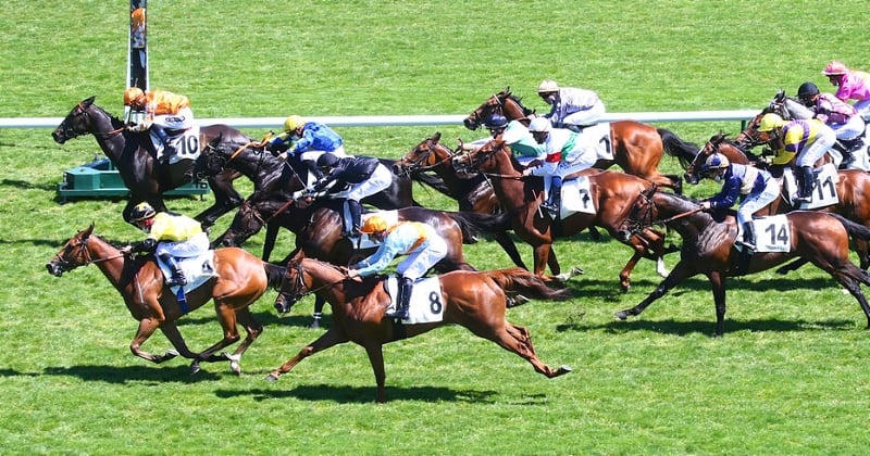 Une joueuse débutante remporte un million d'euros aux courses hippiques alors qu'elle n'y connaît rien