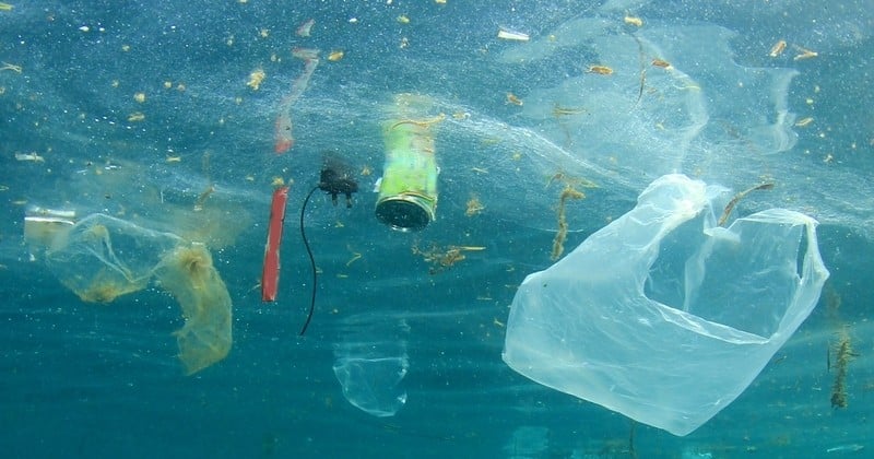 Des scientifiques inventent, par hasard, une enzyme capable de dévorer le plastique et pouvant résoudre le fléau de sa pollution