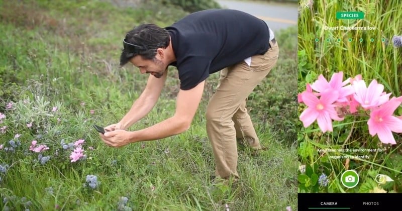 Il existe désormais un «Shazam» de la nature pour identifier les plantes et animaux à partir d'une photo