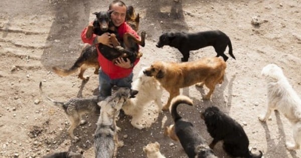 Après avoir découvert l'horreur dans un abattoir pour chien, un millionnaire Chinois fut si horrifié qu'il a utilisé toute sa fortune pour transformer l'abattoir en refuge...