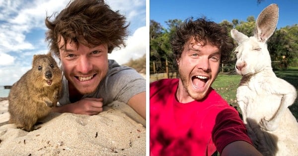 Cet homme a un don peu commun : il arrive à faire des  selfies complètement dingues avec des animaux !