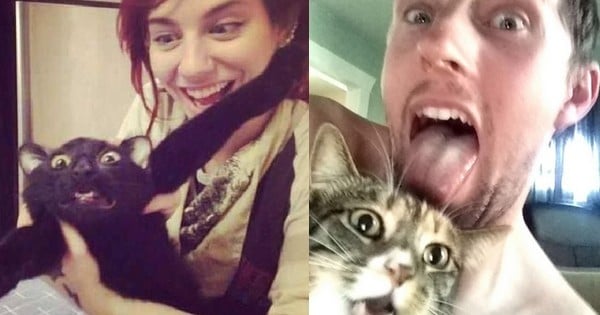 23 chats qui détestent leurs maîtres et qui le montrent bien ! La 19 est tellement énorme !