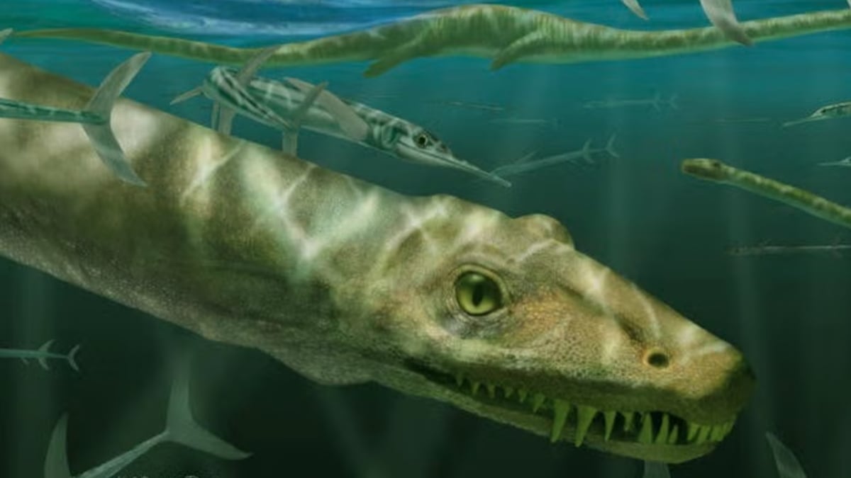 Un «dragon marin» à l'apparence terrifiante et vieux de 240 millions d'années découvert en Chine
