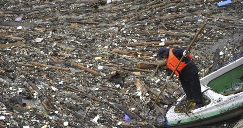 Le continent plastique s'avère seize fois plus massif que ce que l'on croyait, avec une superficie de 1,6 million de km2 