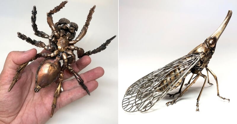 Un biologiste redonne vie à des insectes préhistoriques grâce au métal et le résultat est grandiose 