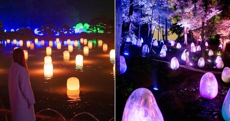 À Osaka, un collectif artistique a transformé le jardin botanique en un magnifique spectacle lumineux