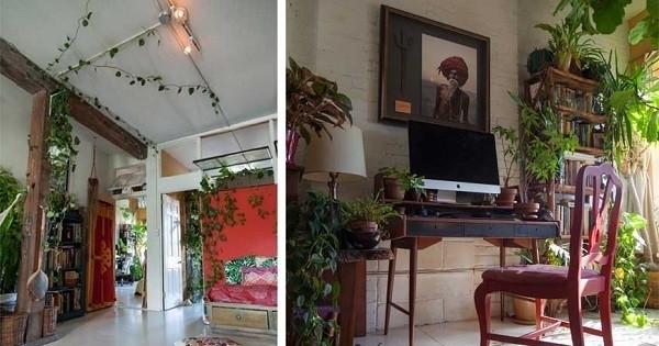 Passionnée de jardinage, elle fait pousser plus de 500 plantes dans son appartement, transformé en une véritable jungle