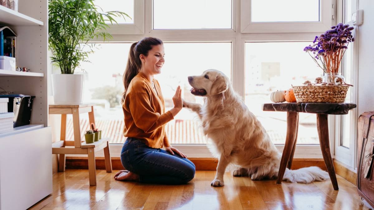 Maîtresse et son chien heureux à la maison