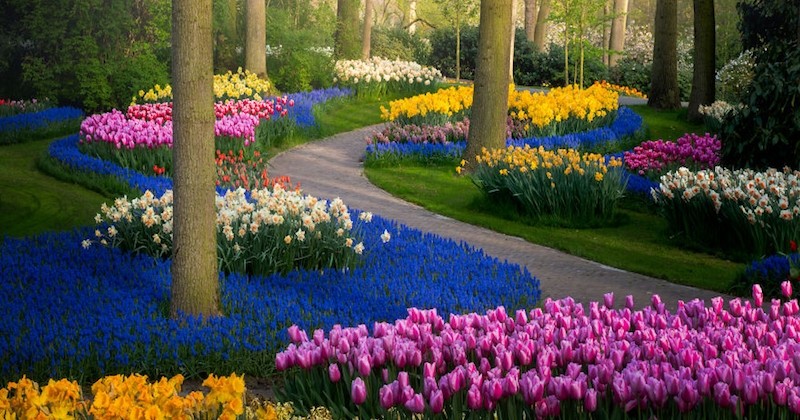 Fermé aux visiteurs, le plus beau jardin botanique du monde révèle toute sa beauté dans ces clichés sublimes