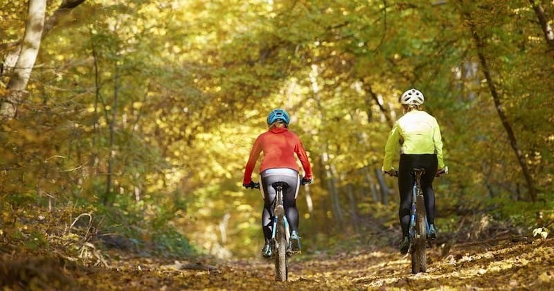 Interdire le VTT en forêt pendant la période de chasse, l'idée absurde d'un député LREM