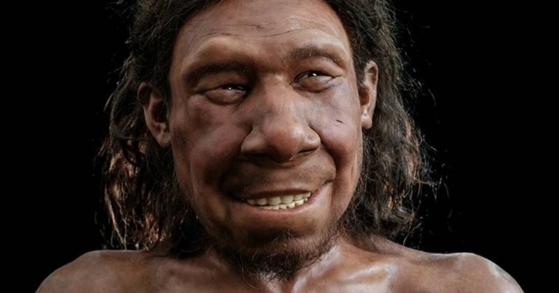 Ce visage est une reconstitution du seul homme de Néandertal découvert aux Pays-Bas